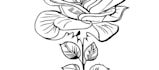 do custom black and grey realistic tattoo design