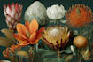 design best botanical illustration