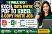 do excel data entry, pdf to excel and copy paste job