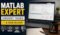 do matlab assignments and coding projects
