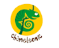 design a creative chameleon logo