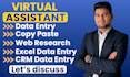 do accurate data entry, web research, CRM data entry and copy paste