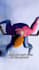 create  3d animated reels in zack d films style