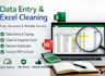 do data entry cleaning formating managing in excel