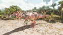 edit create fix your ark survival mods, server, fallout 4, skyrim, arc raider