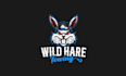 make premium tow company logo with a wild hare rowing