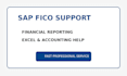 provide sap fico support and financial reporting help