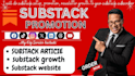 do professional substack marketing and audience growth