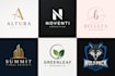 do professional business logo design or re design