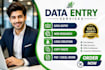 fast and accurate data entry, web research, copy paste