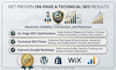 do expert onpage SEO and technical optimization