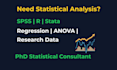 provide advanced statistical analysis in r spss stata for research