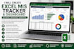 create professional excel mis trackers and dashboards