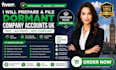 prepare and file dormant company accounts UK