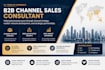 provide b2b channel sales and partnership consulting