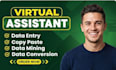 do professional excel data entry and data sheet management