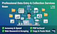 do data entry and data searching