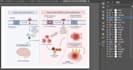 create scientific graphical abstract and biological pathway figure