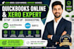 do setup clean up, bookkeeping in quickbooks online and xero