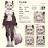 draw furry art, furry ref sheet, fursona ref sheet and anthro ref sheet