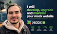 develop, upgrade and maintain your modx website