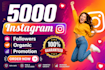 provide 5000 plus instagram followers fast