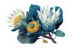 illustrate best botanical illustration