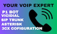 setup p1 bot, 3cx, vicidial, freepbx, ringcentral, voip, sip trunk, asterisk