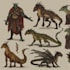 concept art for characters, dragons and monsters