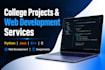 do web development projects and coding assignments