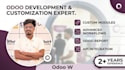 do customization, development, and deploy odoo modules with API integration