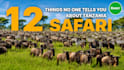 assist you with anything about tanzania