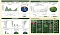 create a professional excel dashboard with charts and KPI tracking