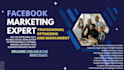 be your professional facebook manager and page manager