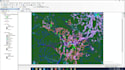 do gis mapping and spatial analysis using arcgis and qgis