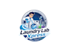 create awesome high quality laundry  logo design with fastest delivery