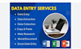 do professional data entry data typing web reasearch
