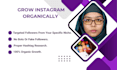 grow instagram organically for niche targeted audience