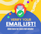do a professional bulk email verification and validation