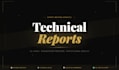 write professional business, technical reports and executive summaries