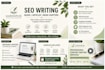 write SEO optimized blogs, articles, and book chapters