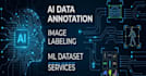 do data annotation and image labeling for ai datasets