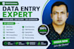 provide expert data entry