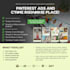create pinterest ads and canva product designs