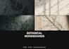 create botanical minimalist moodboards digital collage