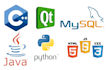 do python programming java c cpp programming and website app development project