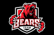 draw stunning bear mascot logo with unique style