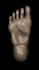 do basic 3d sculpting