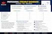 create professional streamlit data dashboard
