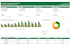 build a custom excel dashboard